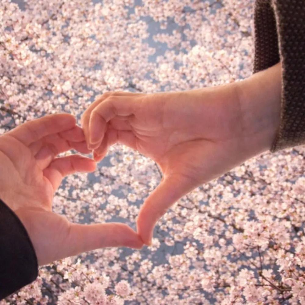 STEN - 봄이 된 이유 (Why Its Spring) (Feat. SE O)