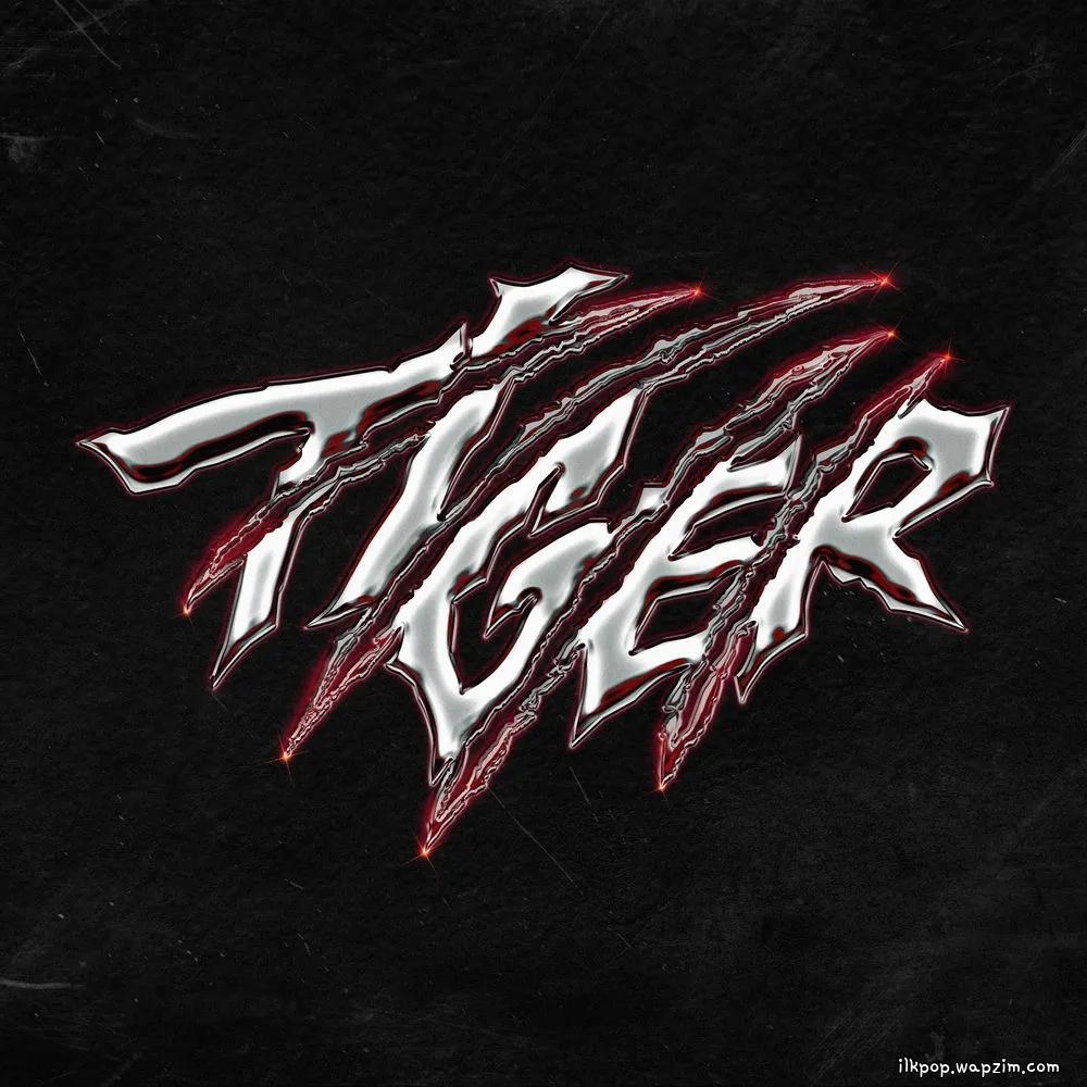 THE BOYZ - Tiger