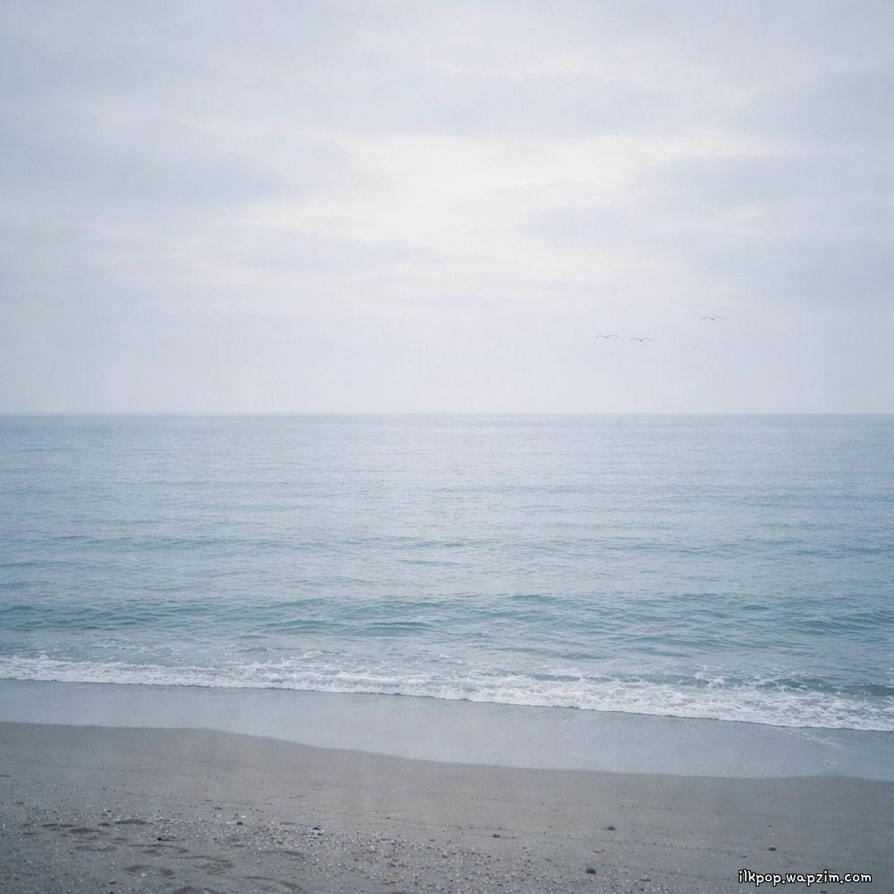 Tarte - 겨울바다에서