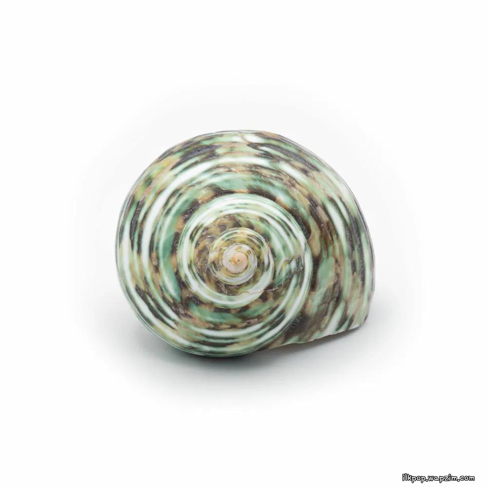 Chun Yongsung - 눈꺼풀 (Eyelids)