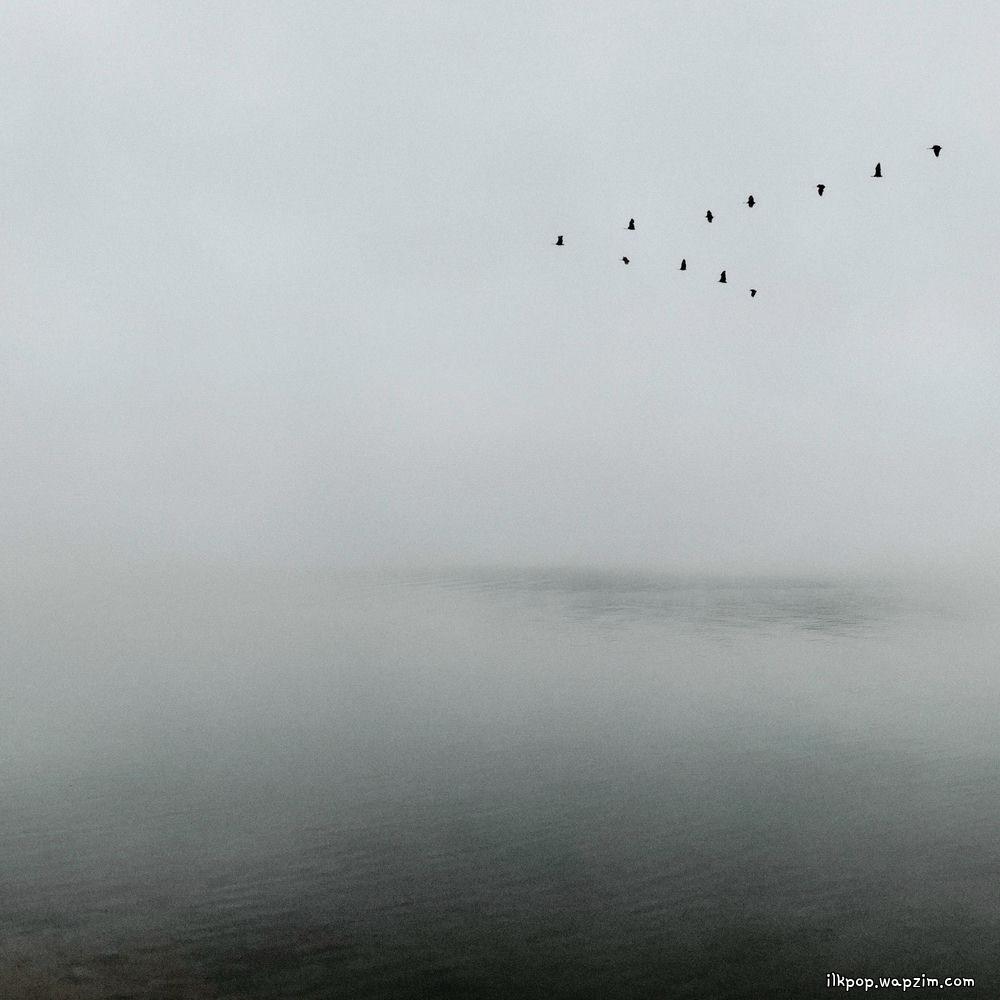 JIYE - 작은새 (Songbird)