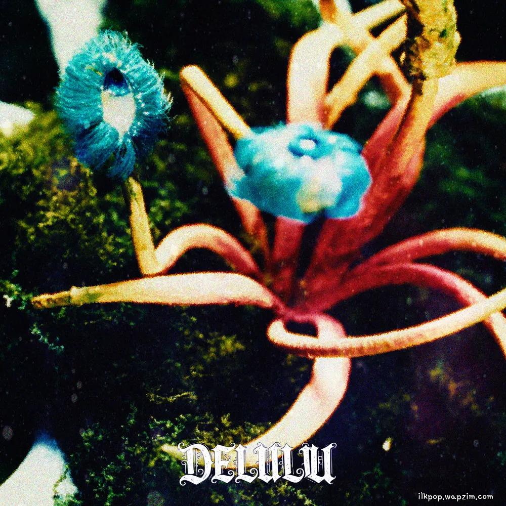 BORAN - Love, not money