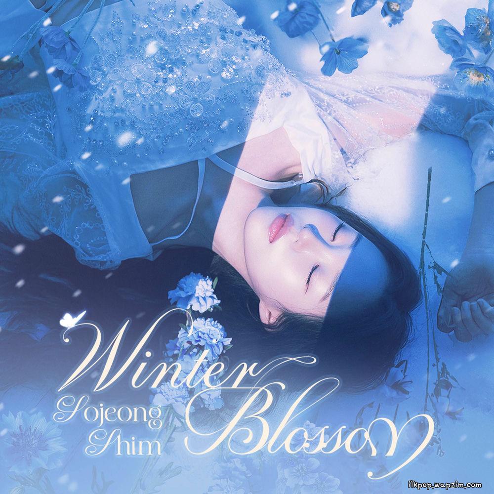 So Jeong Shim - Winter Blossom