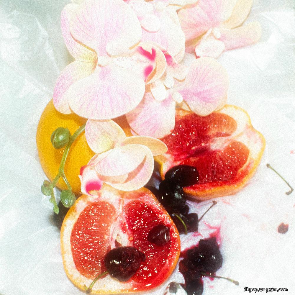 MADDYXP - grapefruit