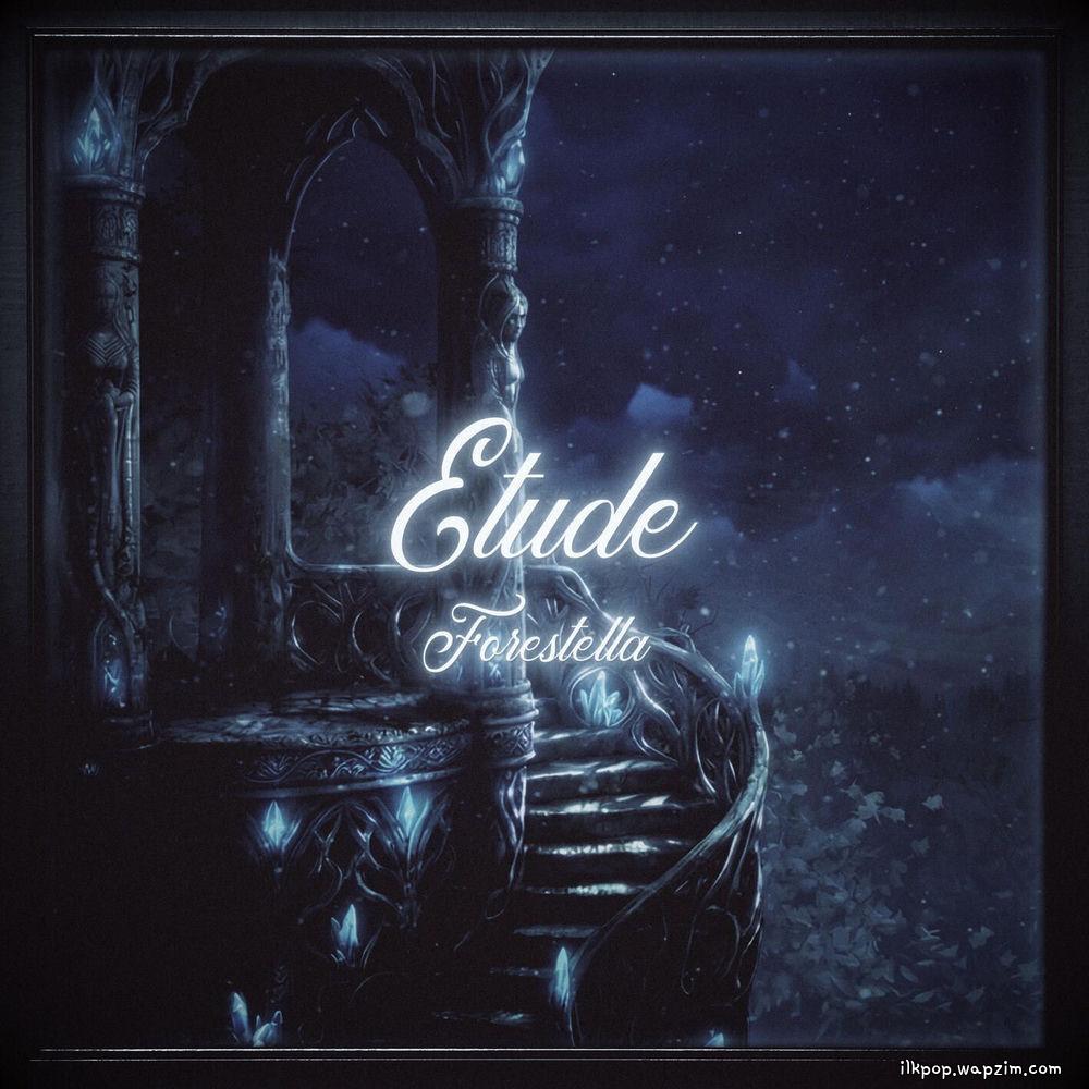 Forestella - Etude