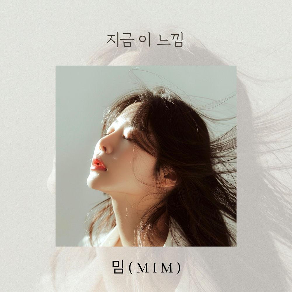 mim - 지금 이 느낌 (This feeling right now)