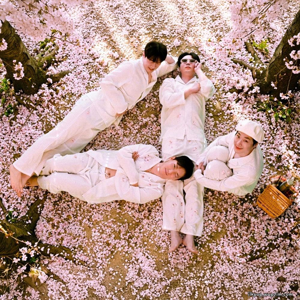 4 For - 1인칭 벚꽃 시점 (Cherry Blossom's View)