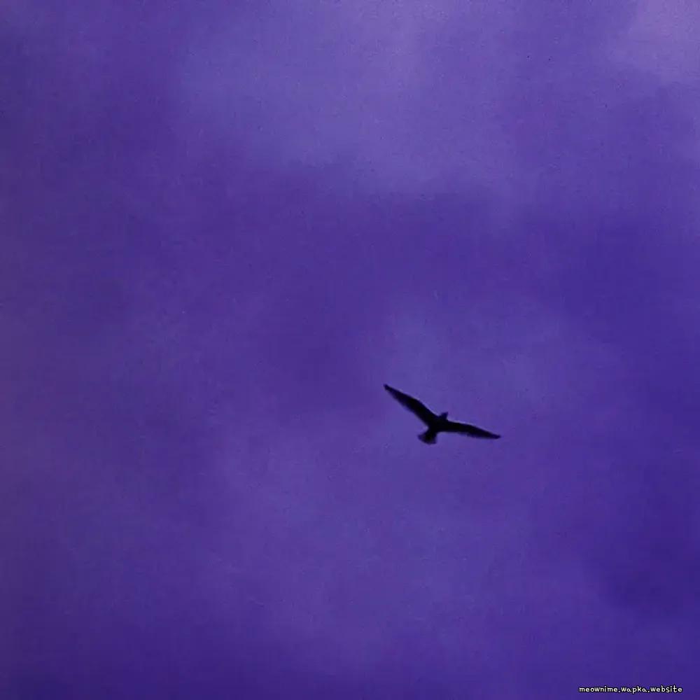 BIALYSTOCKS - Kotozute [Ending Ikoku Nikki]