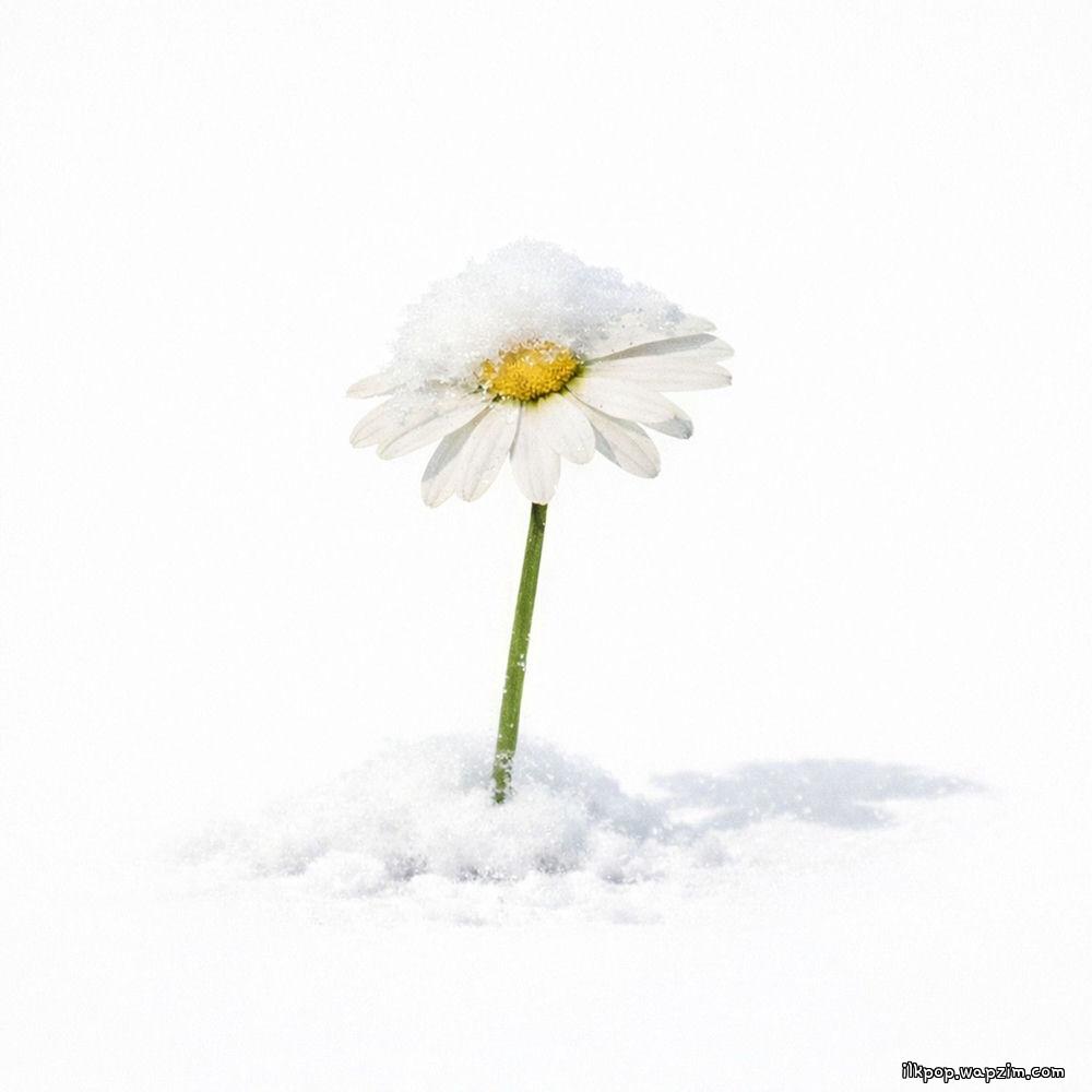 SEJIN - 마지막 눈은 아니였으면