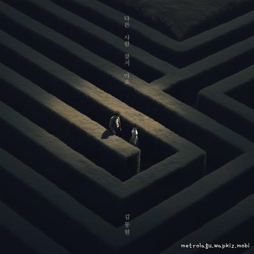 No One Else by Kim Donghyun