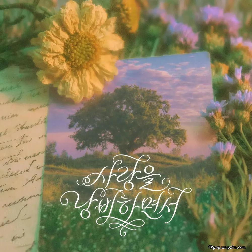 Sweden Laundry - 사랑을 낭비하면서 (Wasting Love)