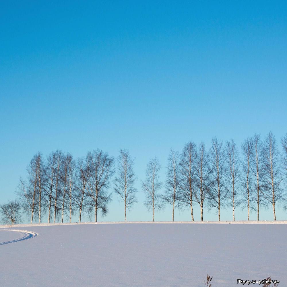 B.HEART - 내게 다시 온다면 (If you come back to me)