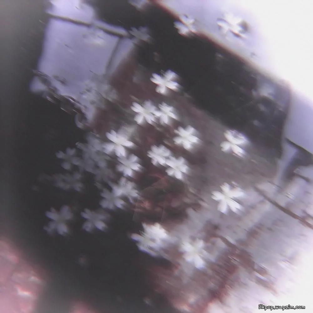 COL - 괜히 (Already)