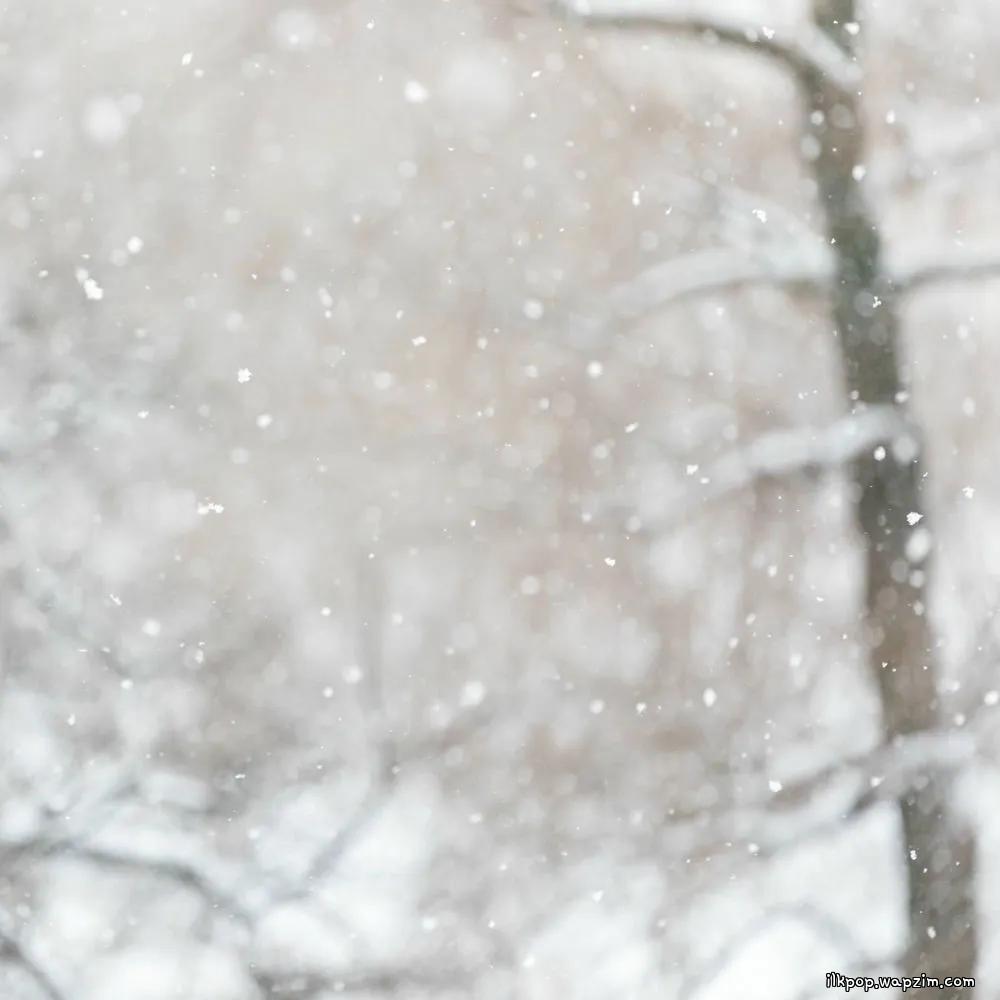 Grynia - 하루 종일 눈이 내려요 (It's snowing all day)