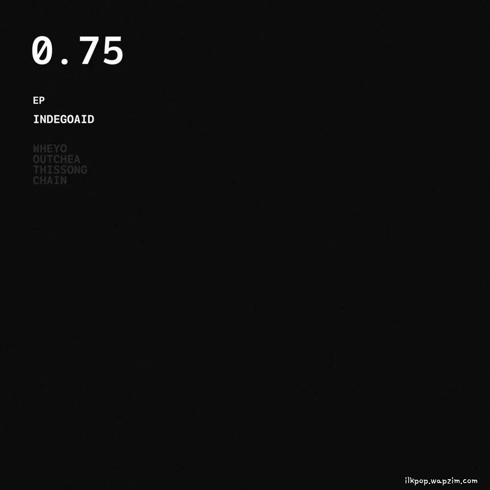 INDEGOAID - THISSONG