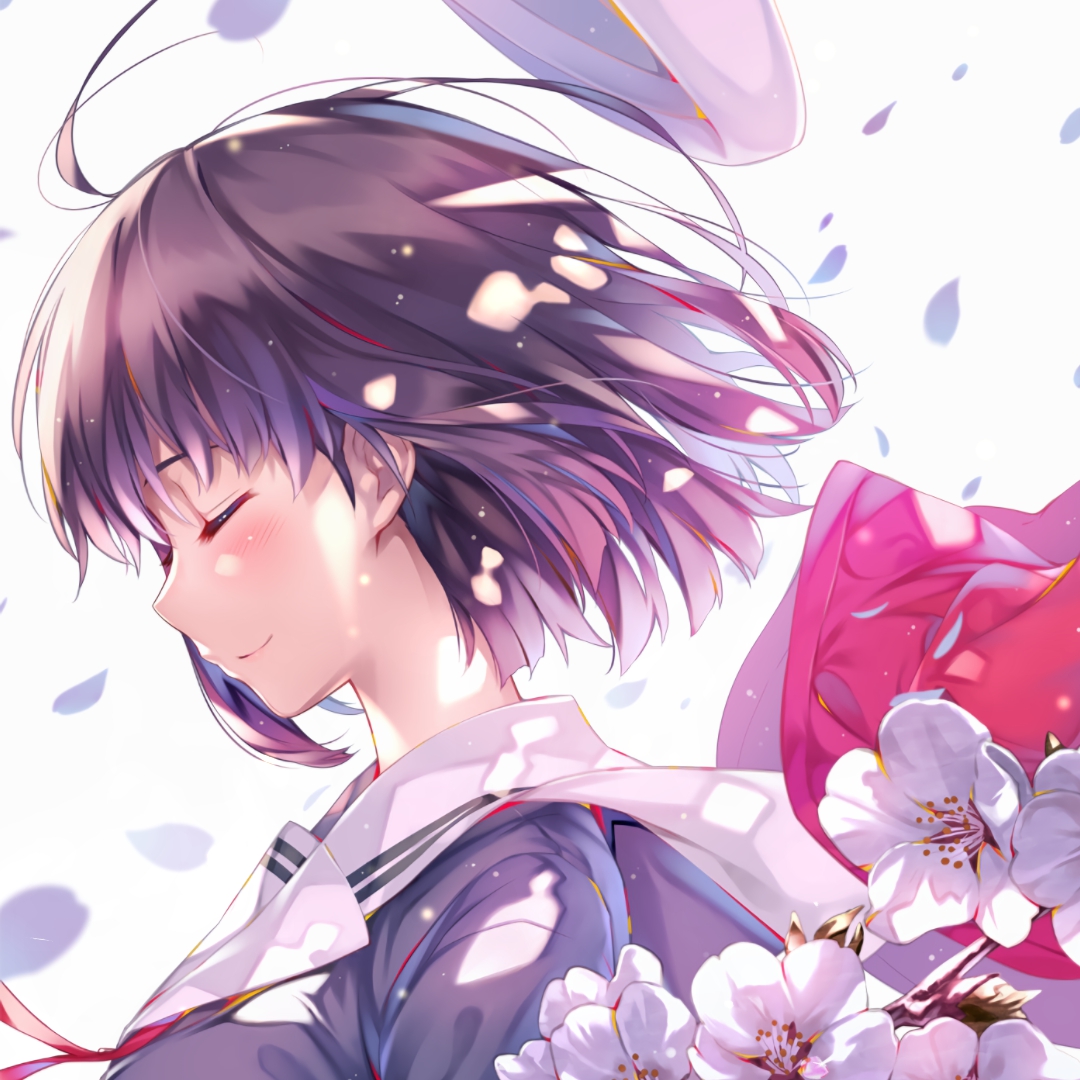 Cover Image of the Post