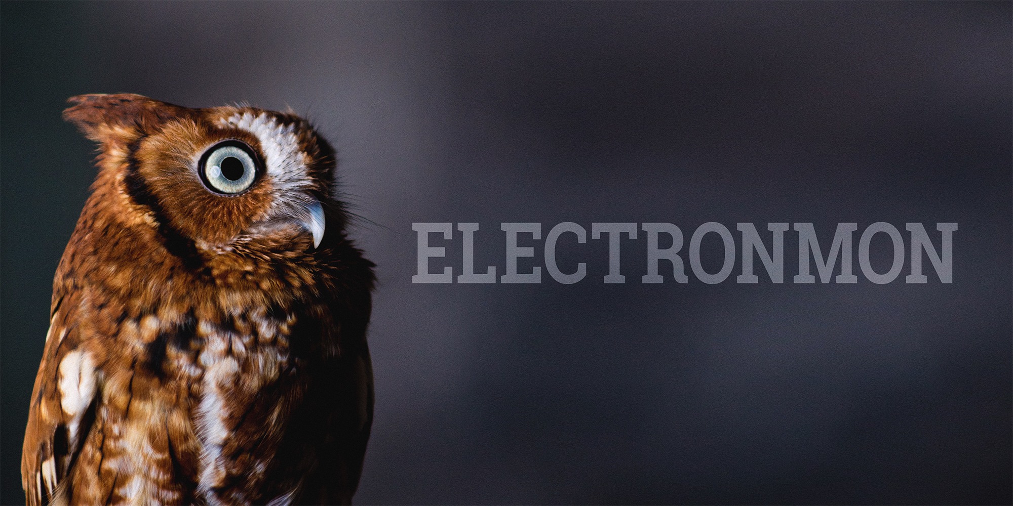 electronmon logo