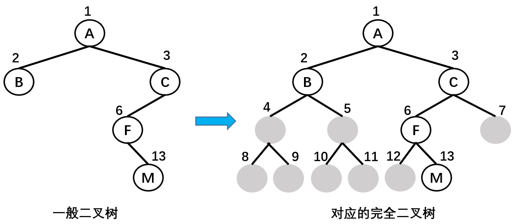 树14
