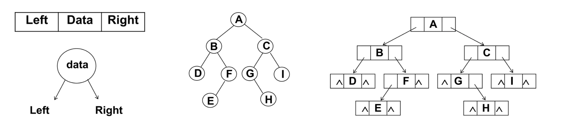 树15
