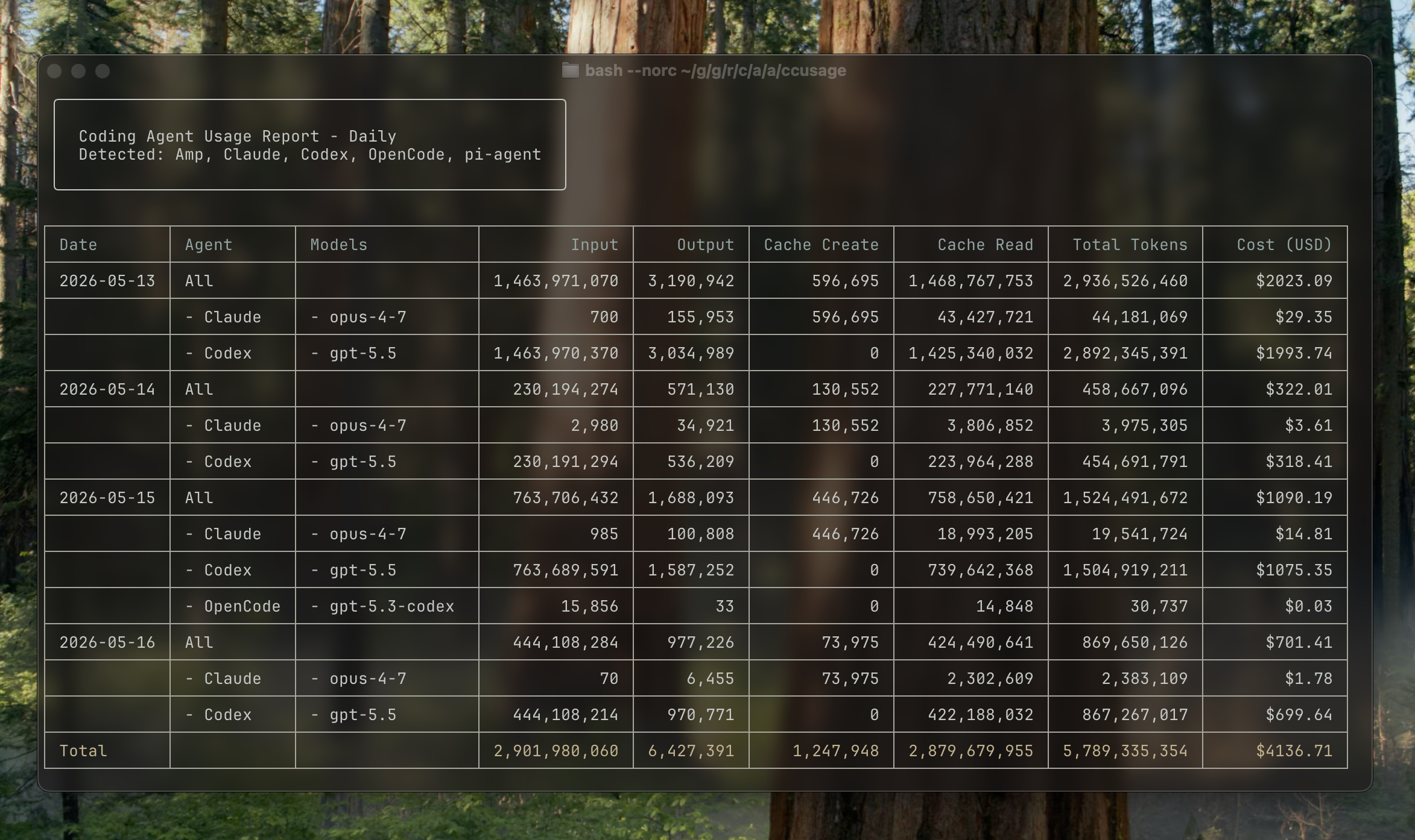 ccusage terminal report screenshot