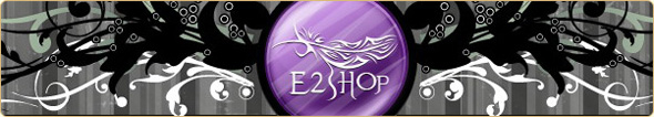 E2SHOP logo+web design