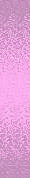 ✾075✾