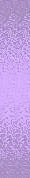 ✾107✾