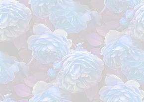 ✾075✾