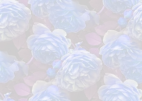 ✾076✾
