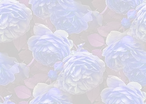 ✾077✾