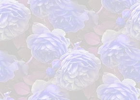 ✾078✾