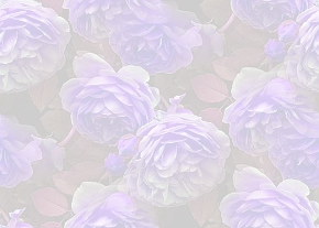 ✾080✾