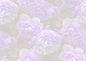 ✾081✾