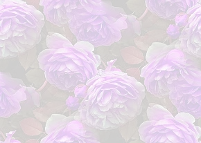 ✾082✾
