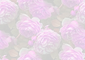 ✾084✾