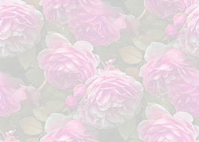 ✾086✾