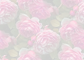 ✾087✾