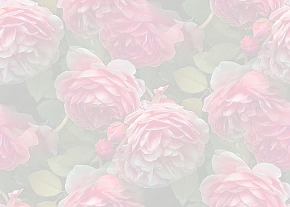 ✾088✾