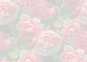 ✾089✾