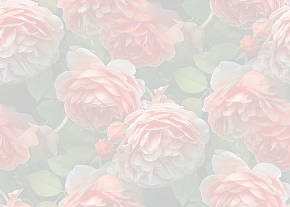 ✾090✾