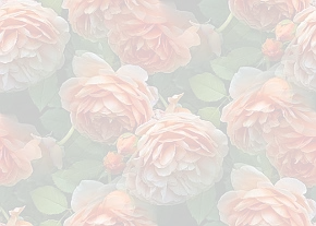 ✾091✾