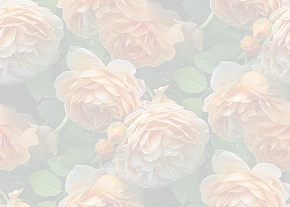 ✾092✾