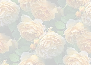 ✾093✾