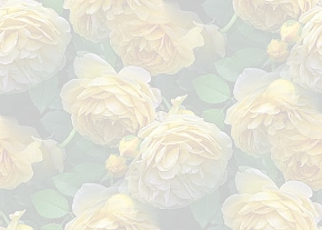 ✾094✾
