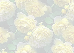✾095✾