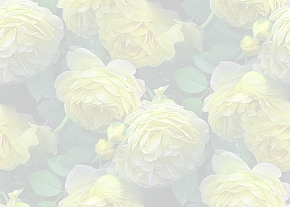 ✾096✾
