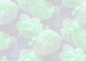 ✾104✾