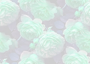 ✾105✾