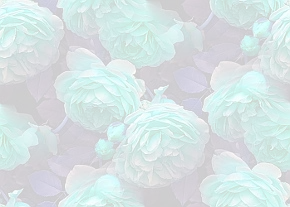 ✾107✾