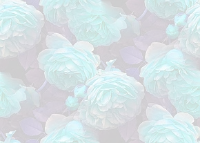 ✾108✾